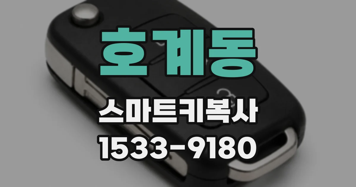 호계동 스마트키복사