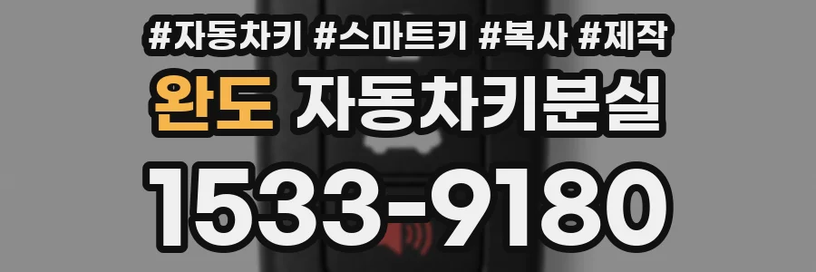 완도 자동차키분실