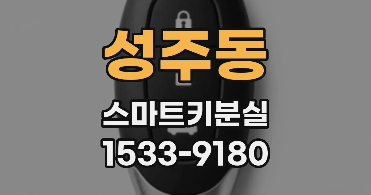 성주동 스마트키분실