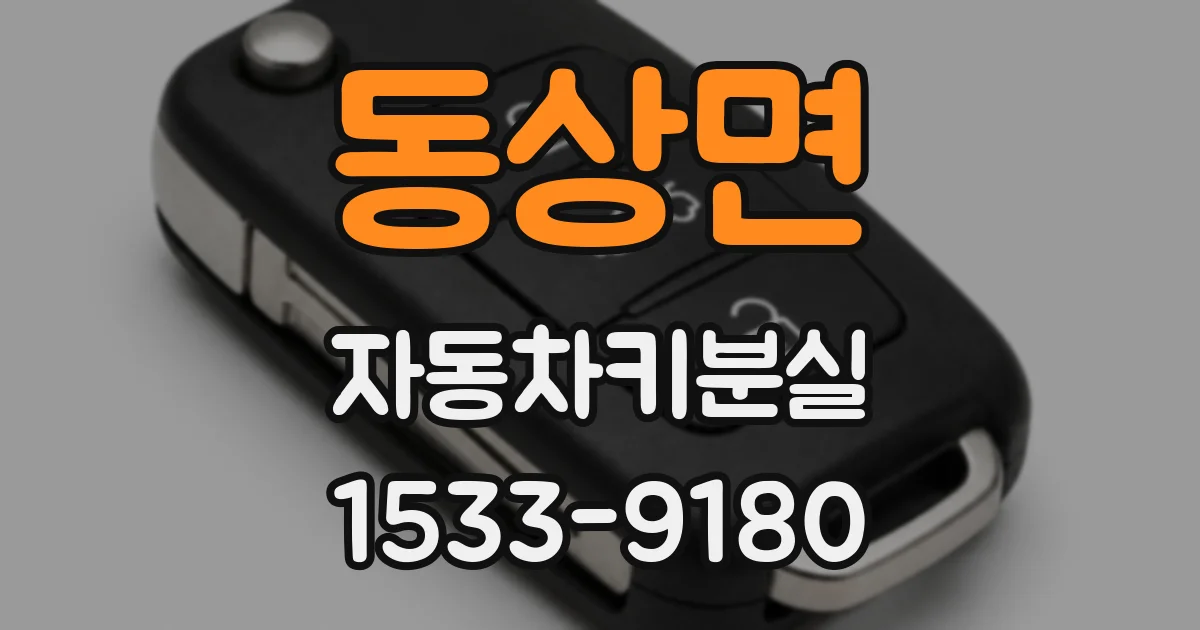 동상면 자동차키분실