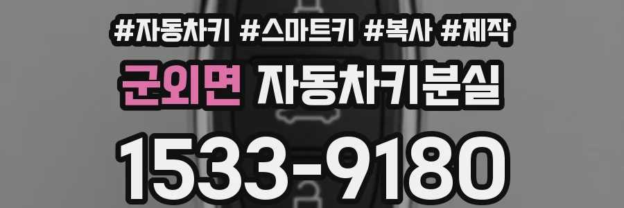 군외면 자동차키분실