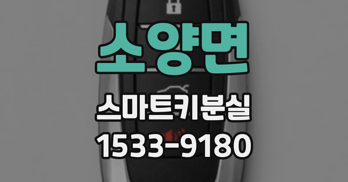 소양면 스마트키분실