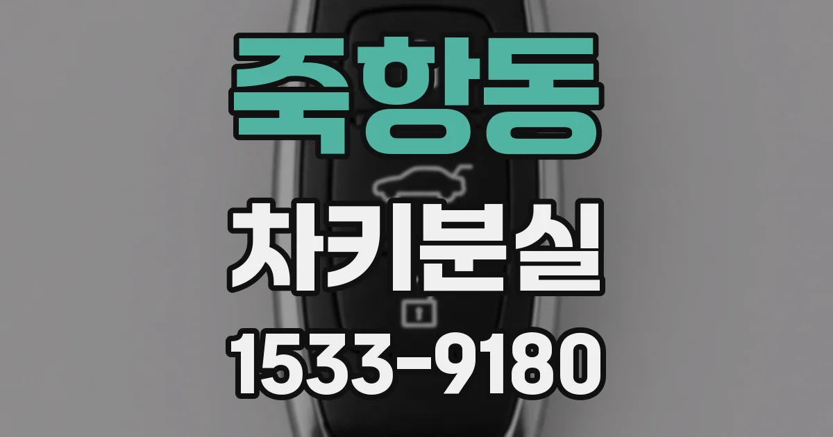 죽항동 차키분실