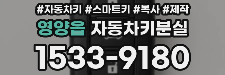 영양읍 자동차키분실