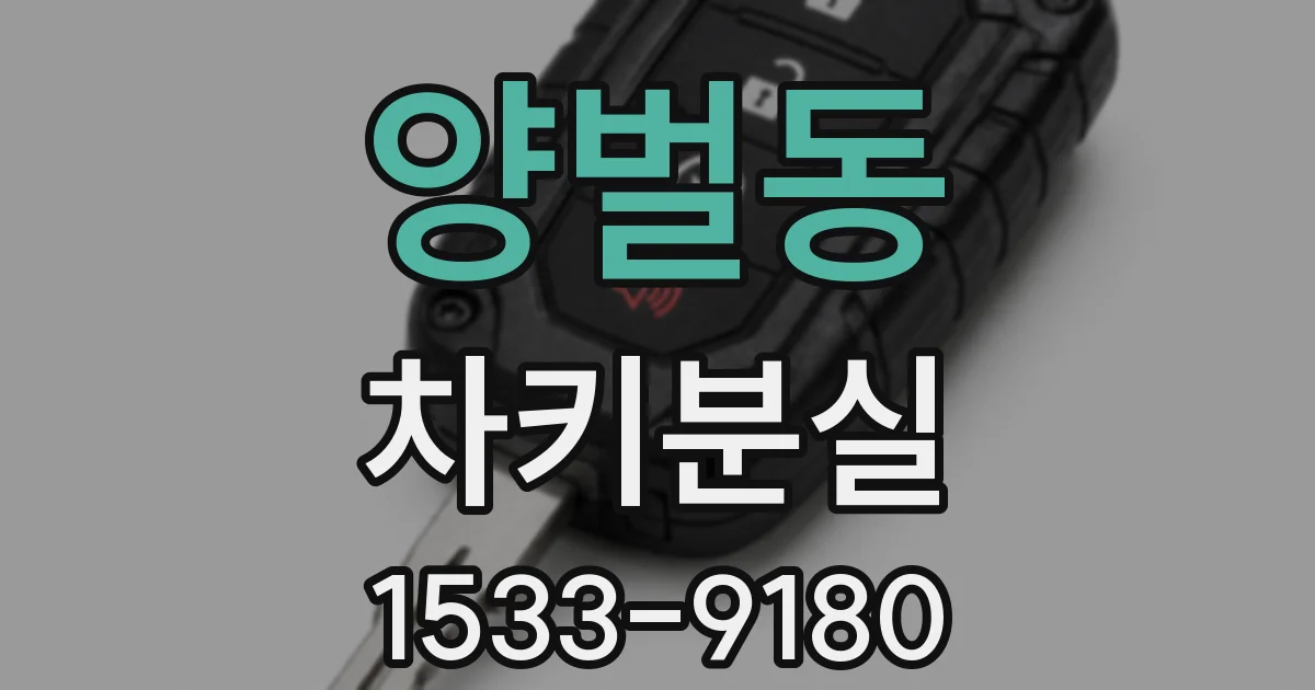 양벌동 차키분실