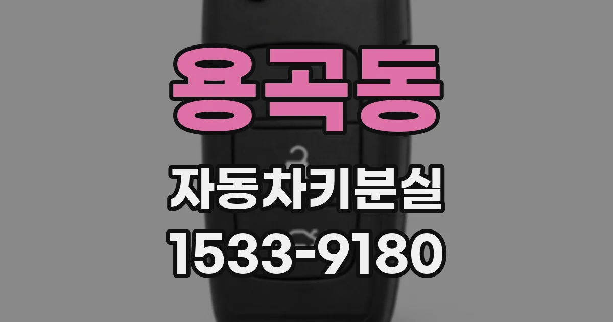 용곡동 자동차키분실