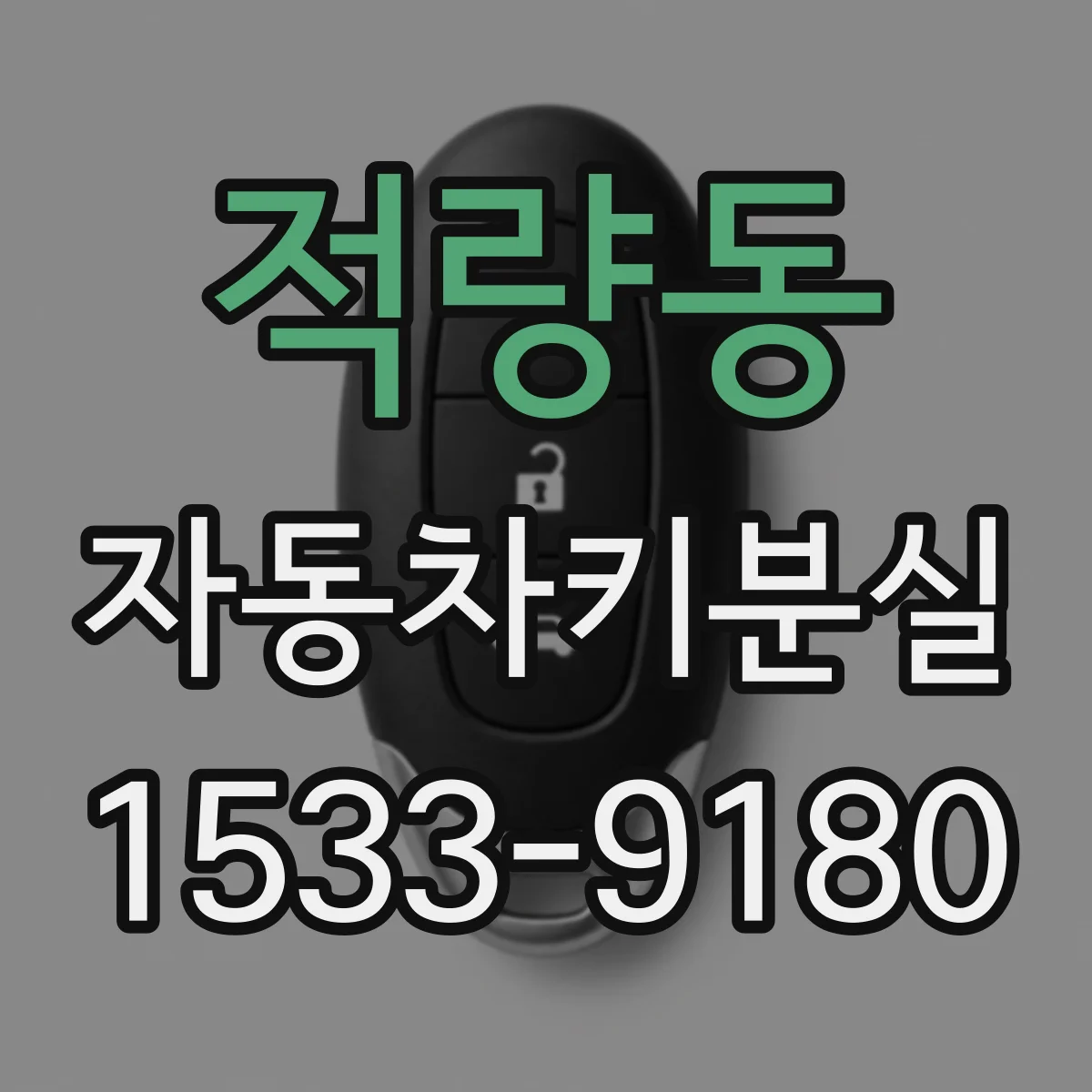 적량동 자동차키분실