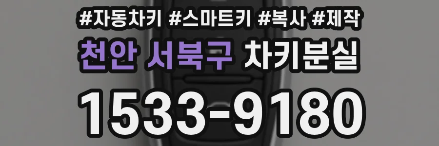 천안 서북구 차키분실