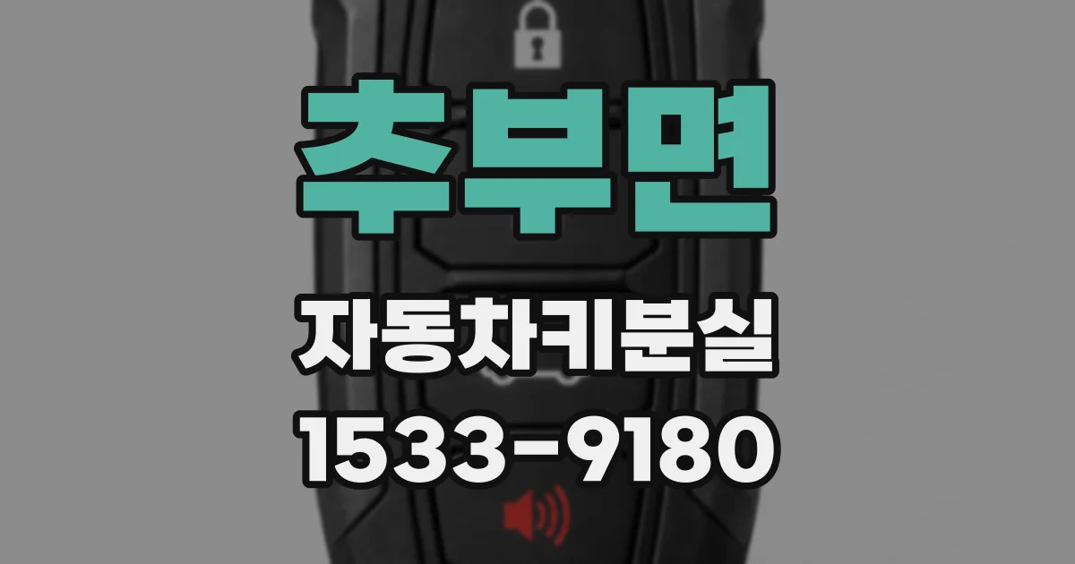 추부면 자동차키분실