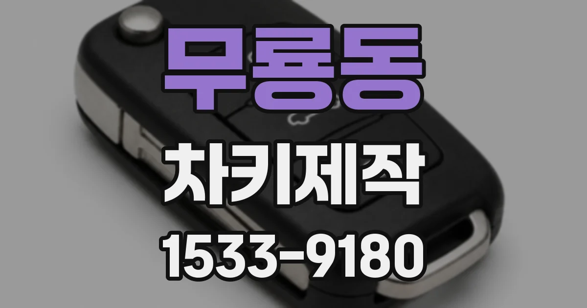 무룡동 차키제작