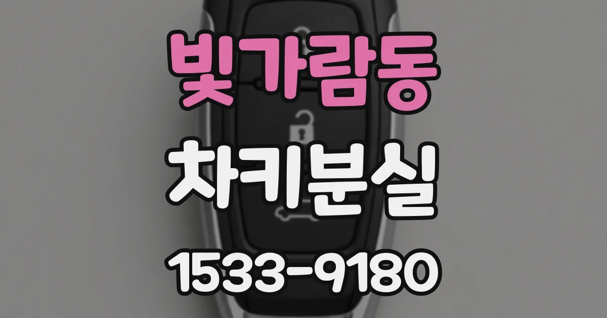 빛가람동 차키분실