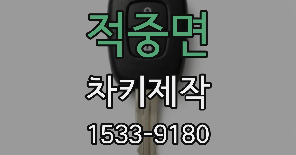 적중면 차키제작