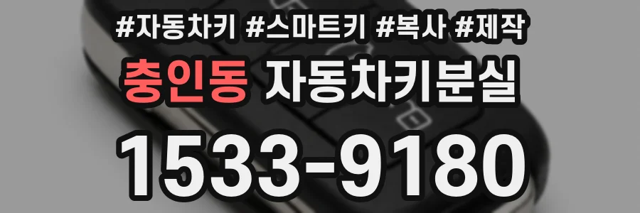 충인동 자동차키분실