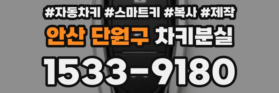 안산 단원구 차키분실