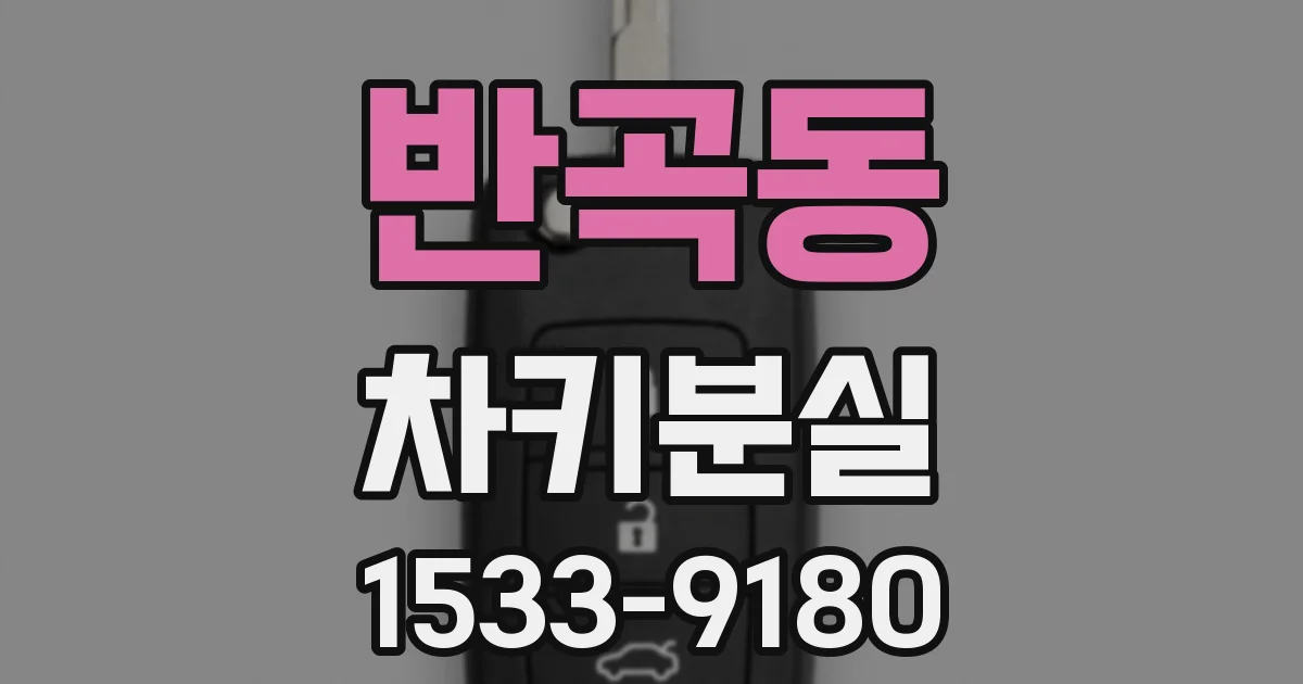 반곡동 차키분실