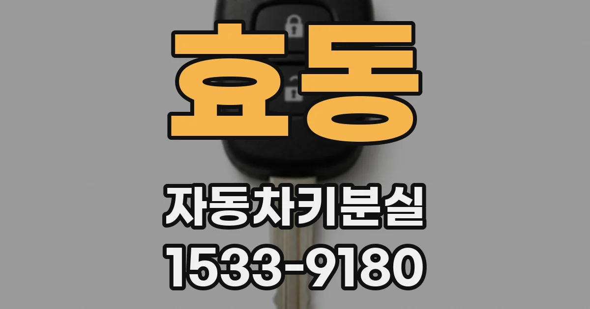 효동 자동차키분실