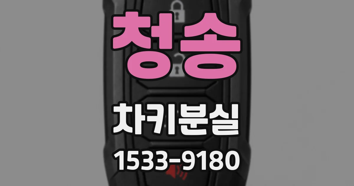청송 차키분실