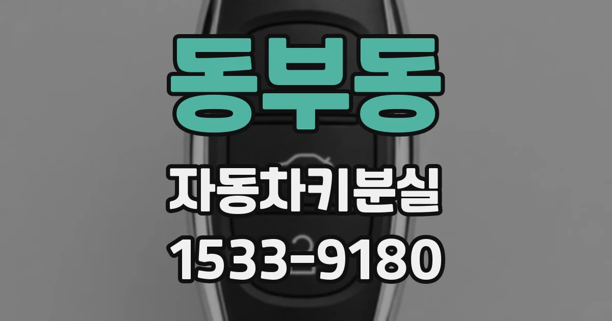 동부동 자동차키분실