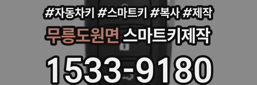 무릉도원면 스마트키제작