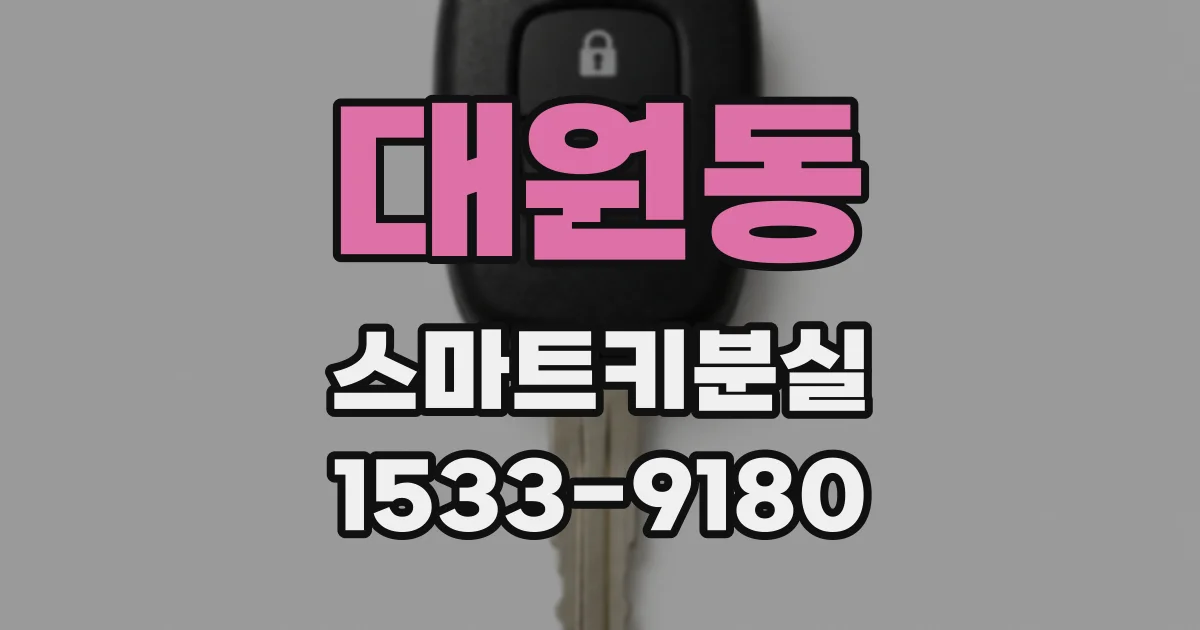 대원동 스마트키분실