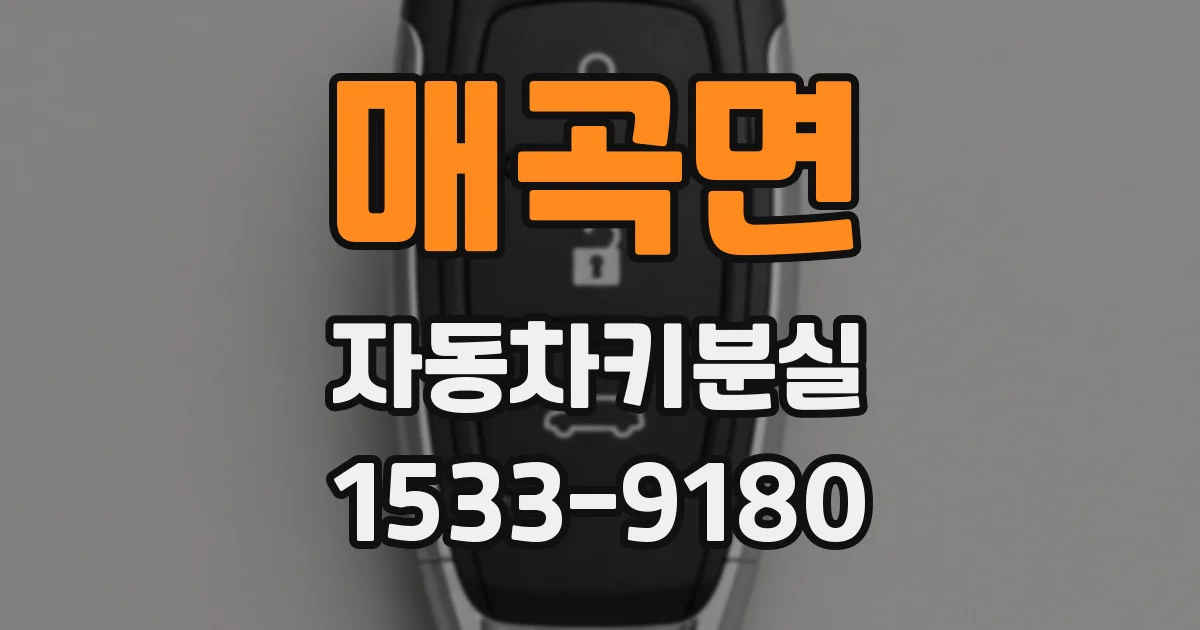 매곡면 자동차키분실