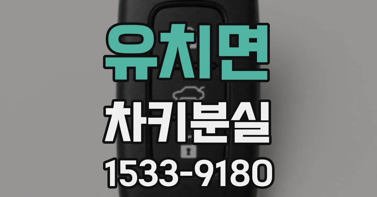 유치면 차키분실