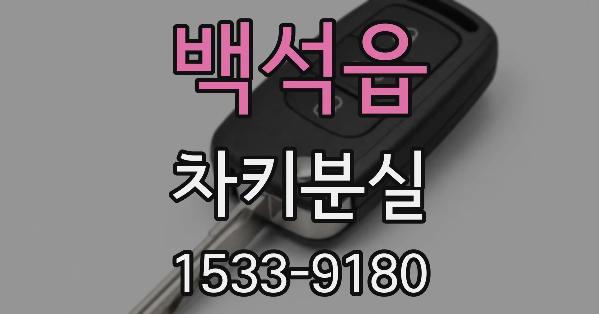 백석읍 차키분실