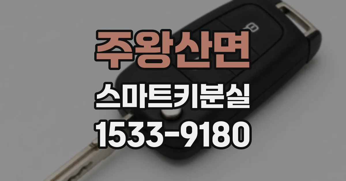 주왕산면 스마트키분실