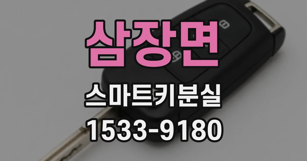 삼장면 스마트키분실