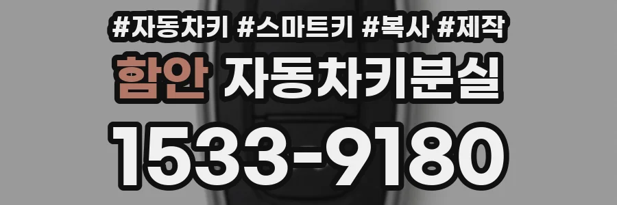 함안 자동차키분실
