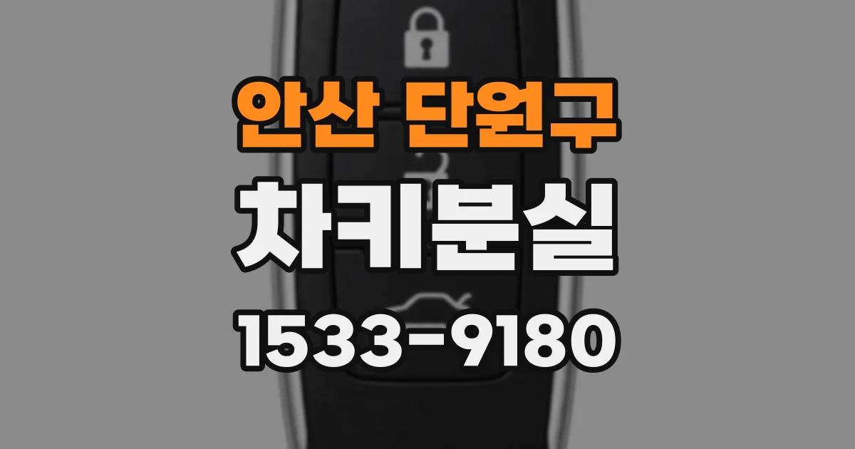 안산 단원구 차키분실