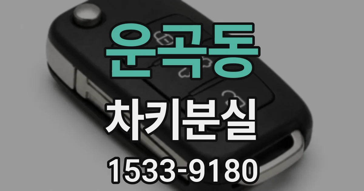 운곡동 차키분실