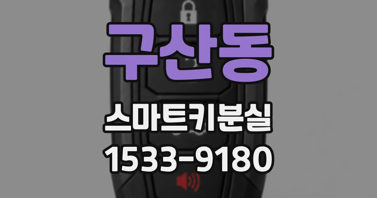 구산동 스마트키분실