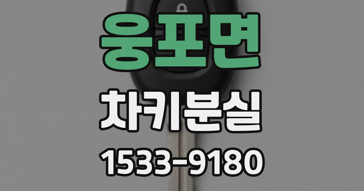 웅포면 차키분실