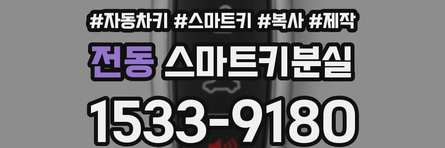전동 스마트키분실