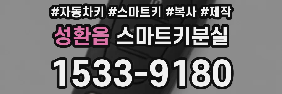 성환읍 스마트키분실