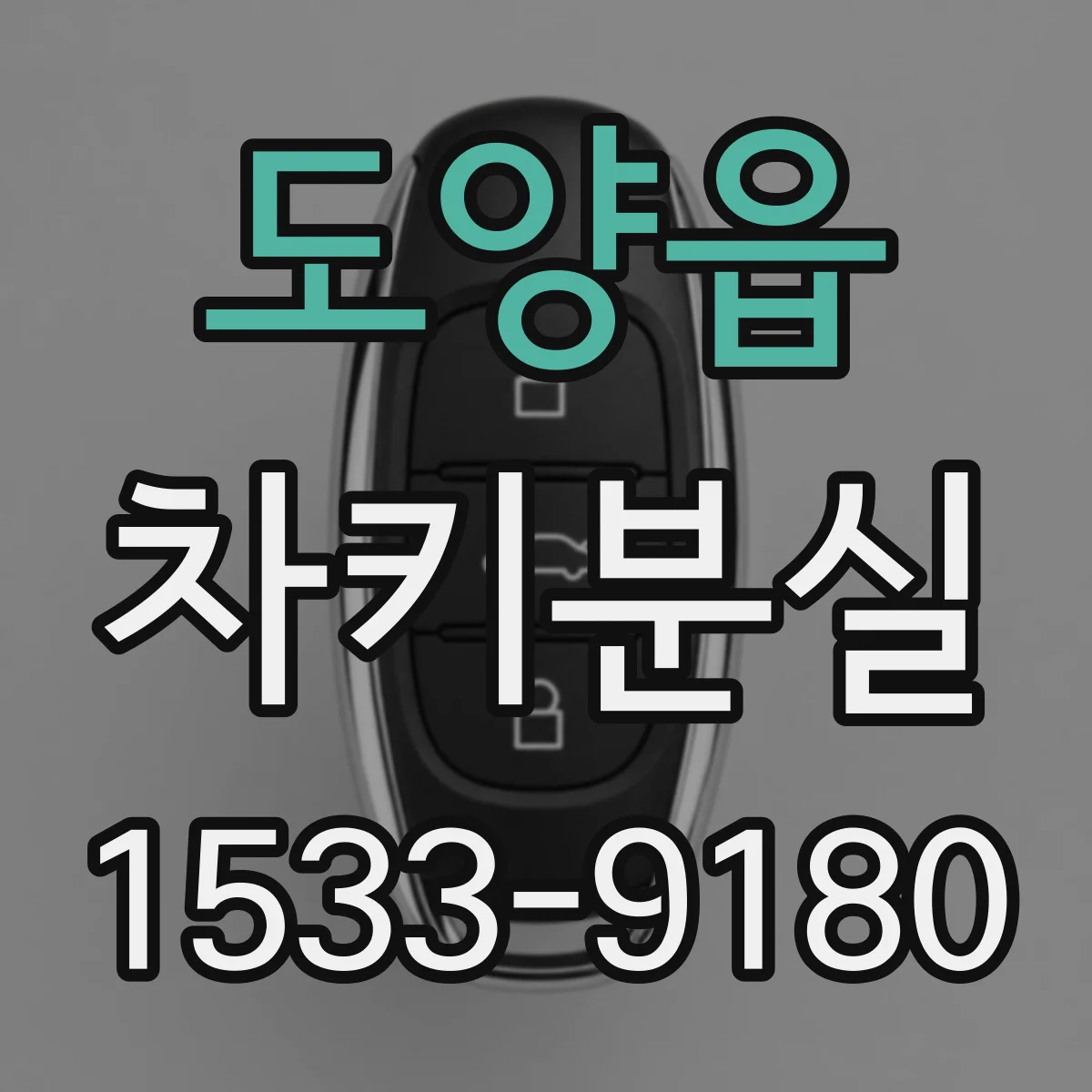 도양읍 차키분실