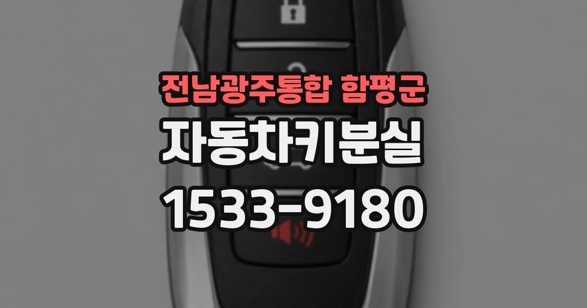 전남광주통합 함평군 자동차키분실