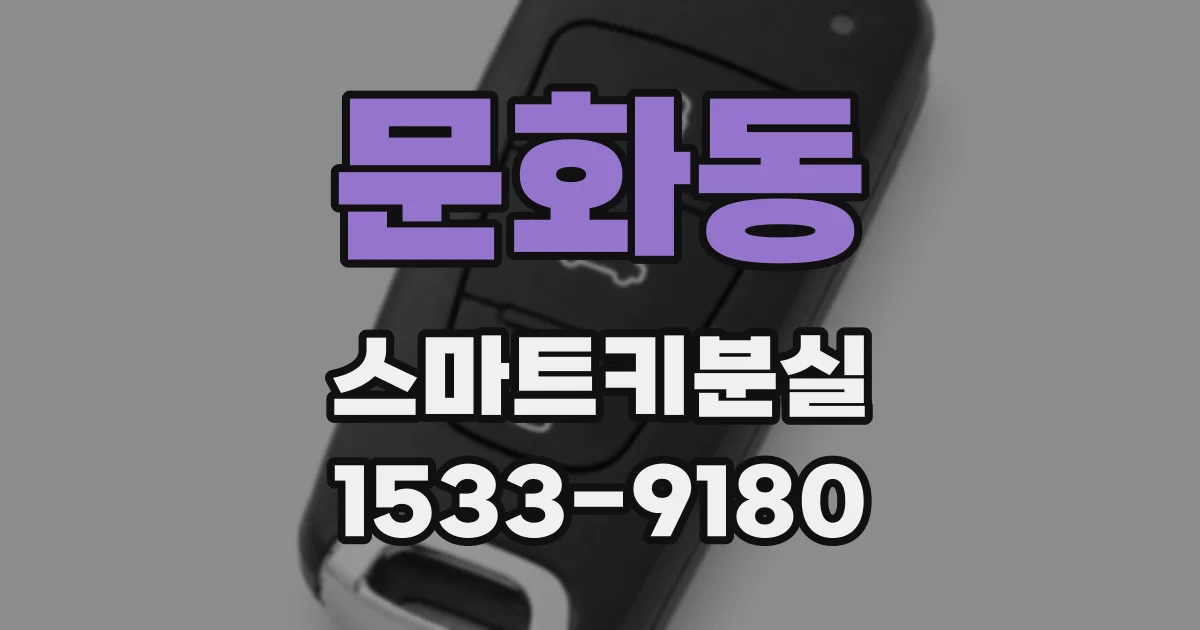 문화동 스마트키분실