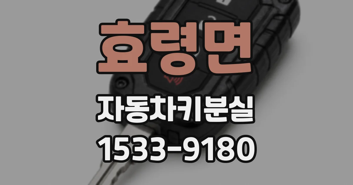 효령면 자동차키분실
