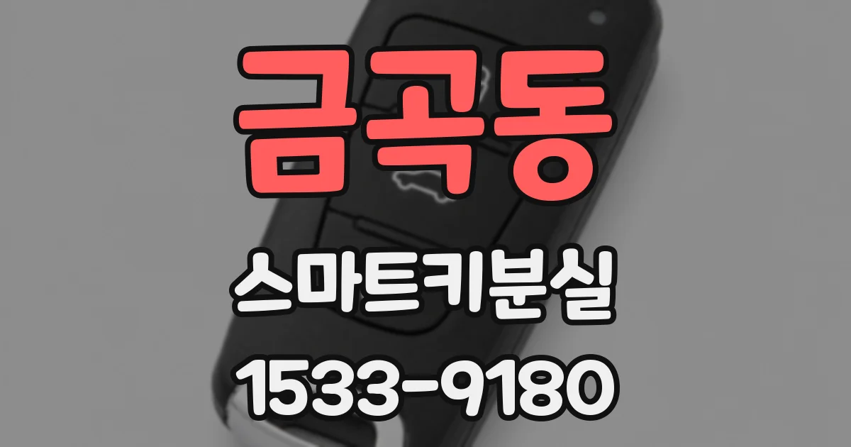 금곡동 스마트키분실