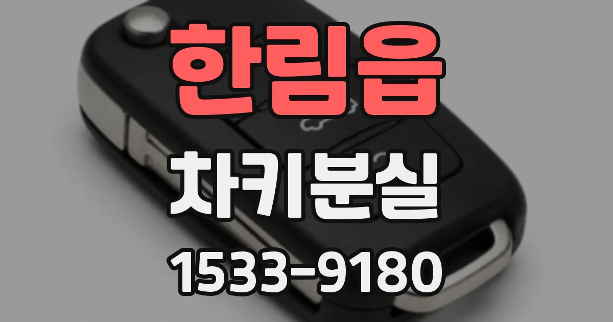 한림읍 차키분실