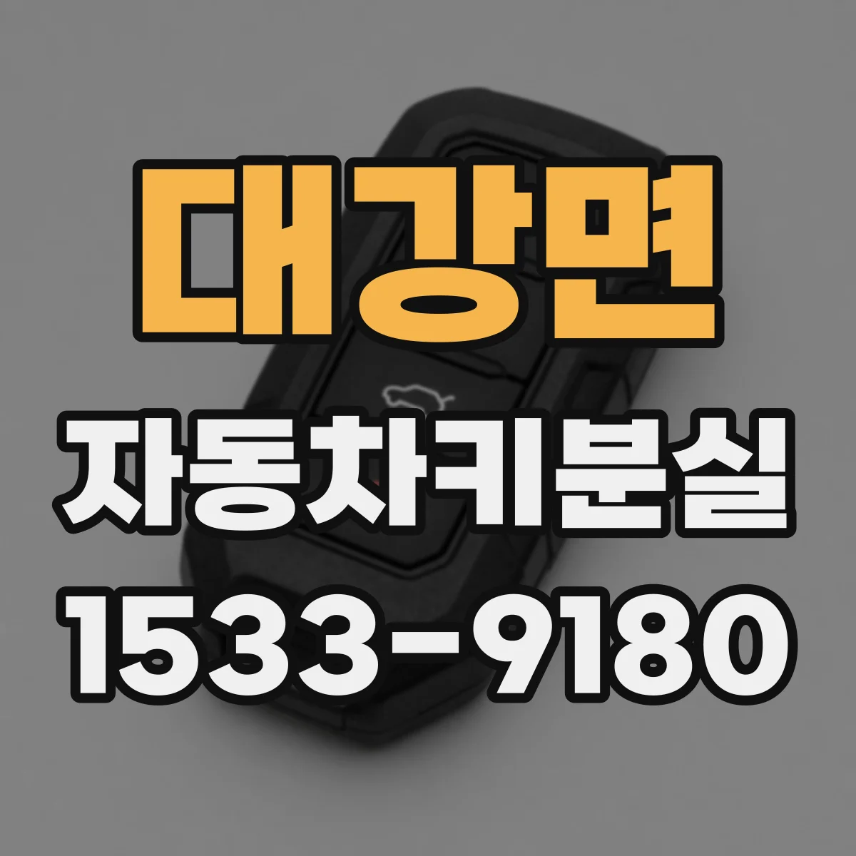 대강면 자동차키분실