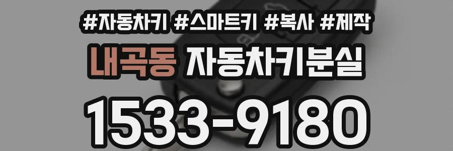 내곡동 자동차키분실