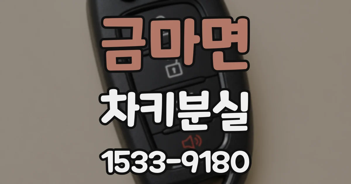 금마면 차키분실