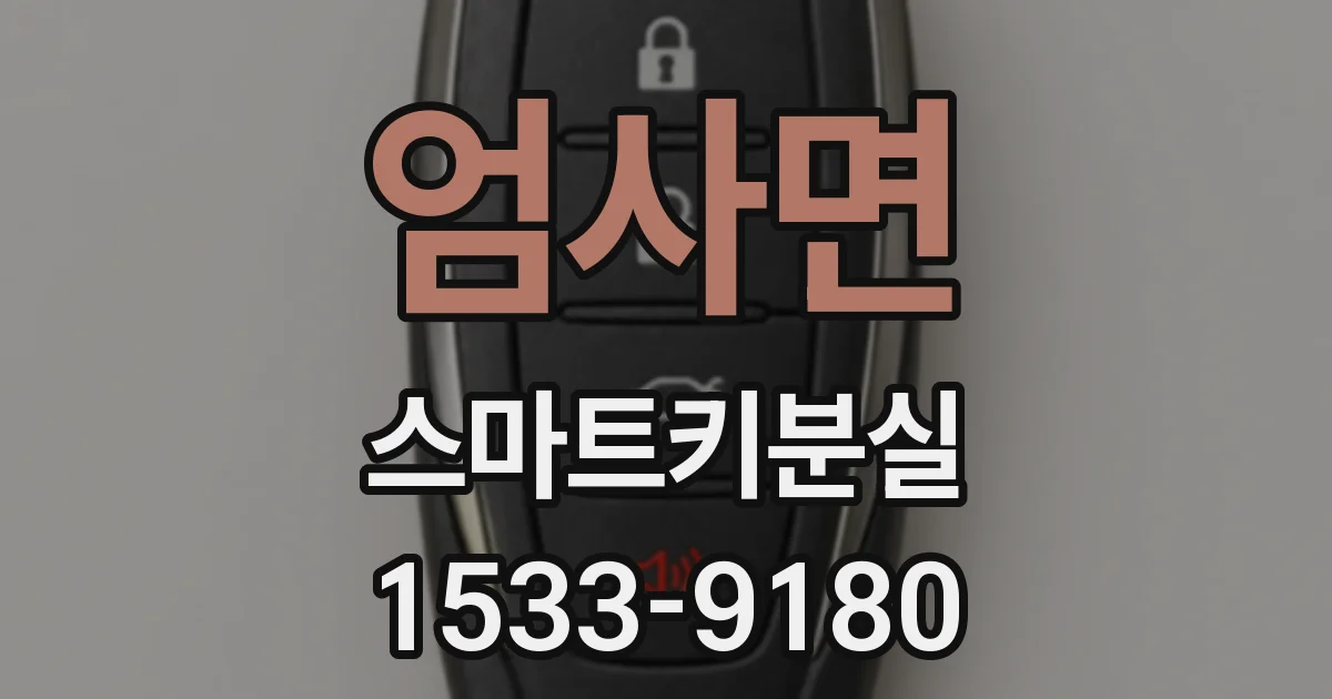 엄사면 스마트키분실