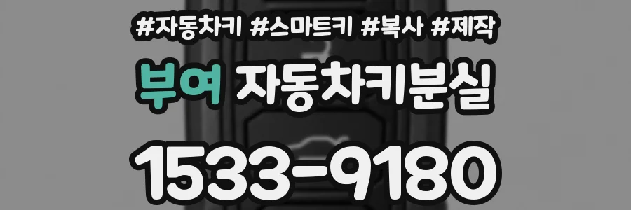 부여 자동차키분실