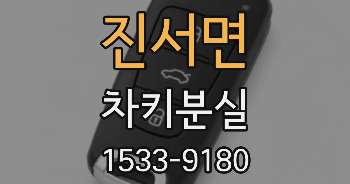 진서면 차키분실