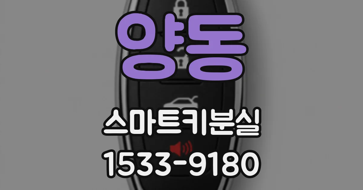 양동 스마트키분실