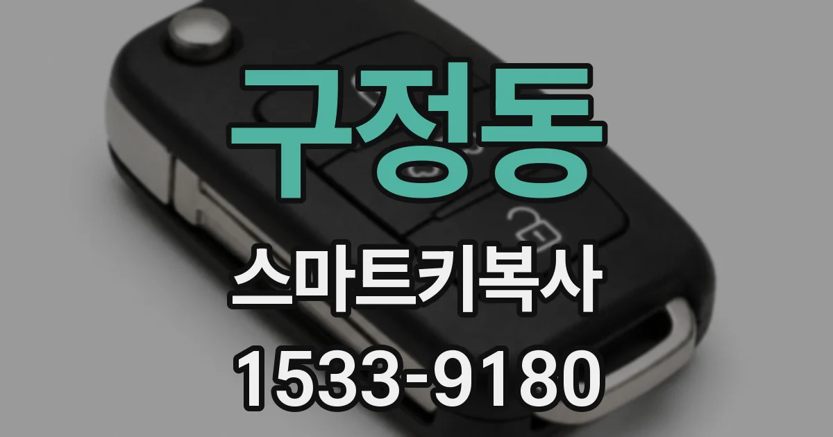구정동 스마트키복사